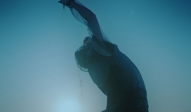 映像制作・スチール撮影会社㈱bird and insectがグループイン